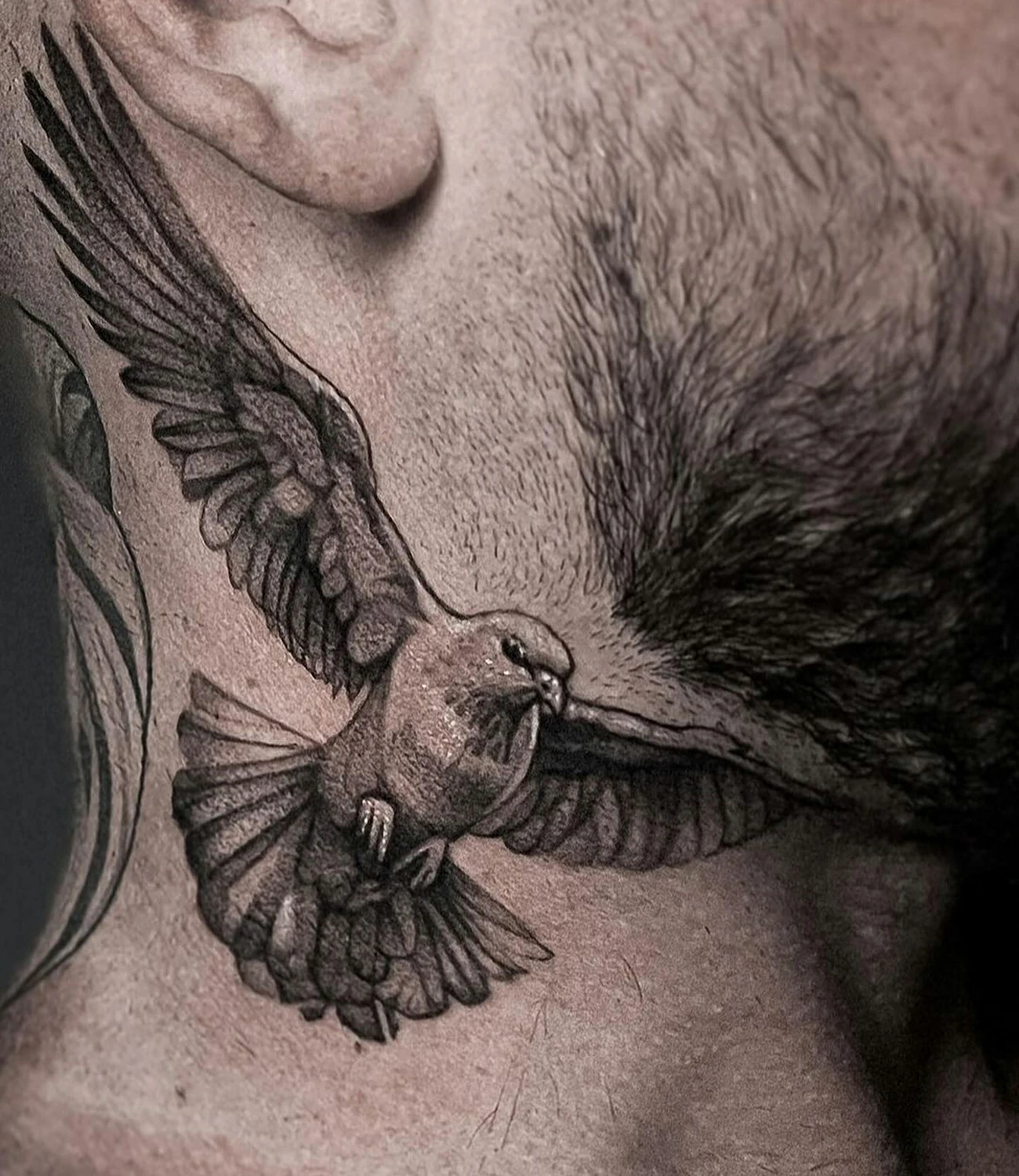 Dove Tattoo Male