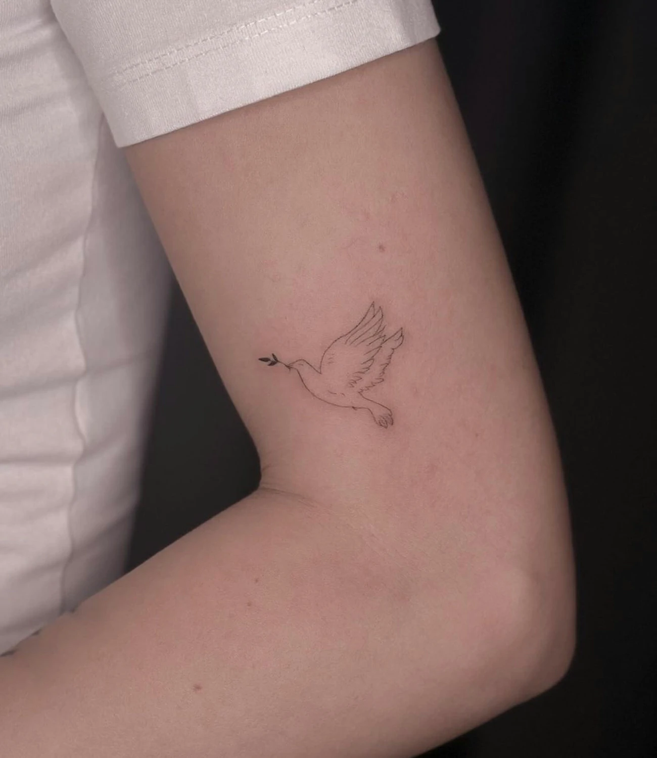 Simple Dove Tattoo