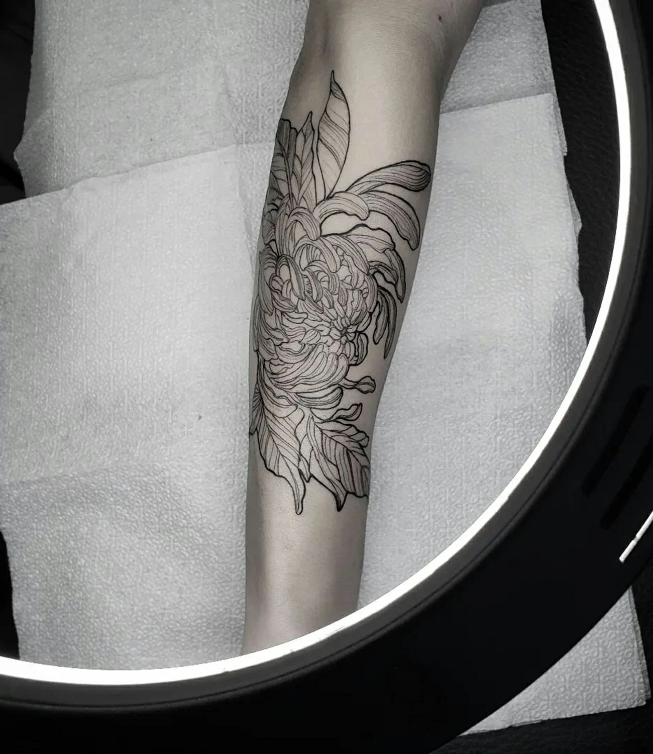 Chrysanthemum Tattoo Outline #chrysanthemumtattoo