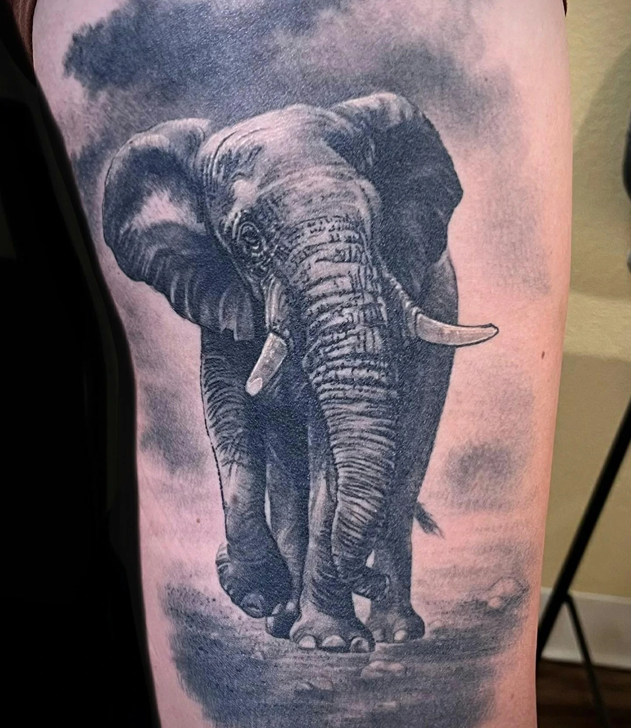 Realistic Elephant Tattoo