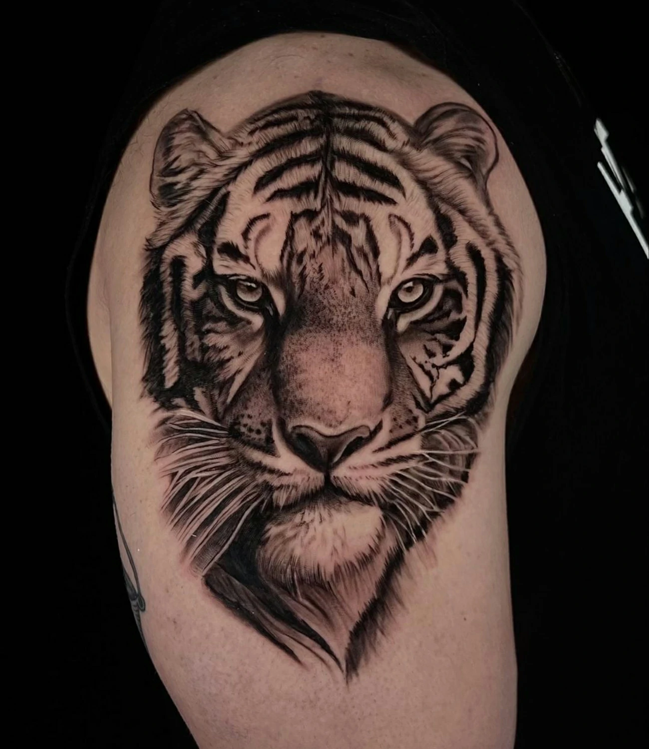 Tiger Head Tattoo