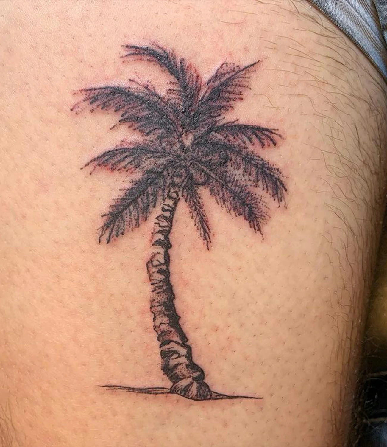 Realistic Palm Tree Tattoo