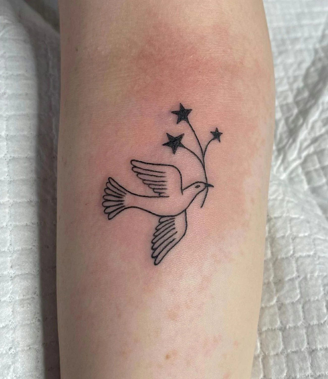 Small Dove Tattoos