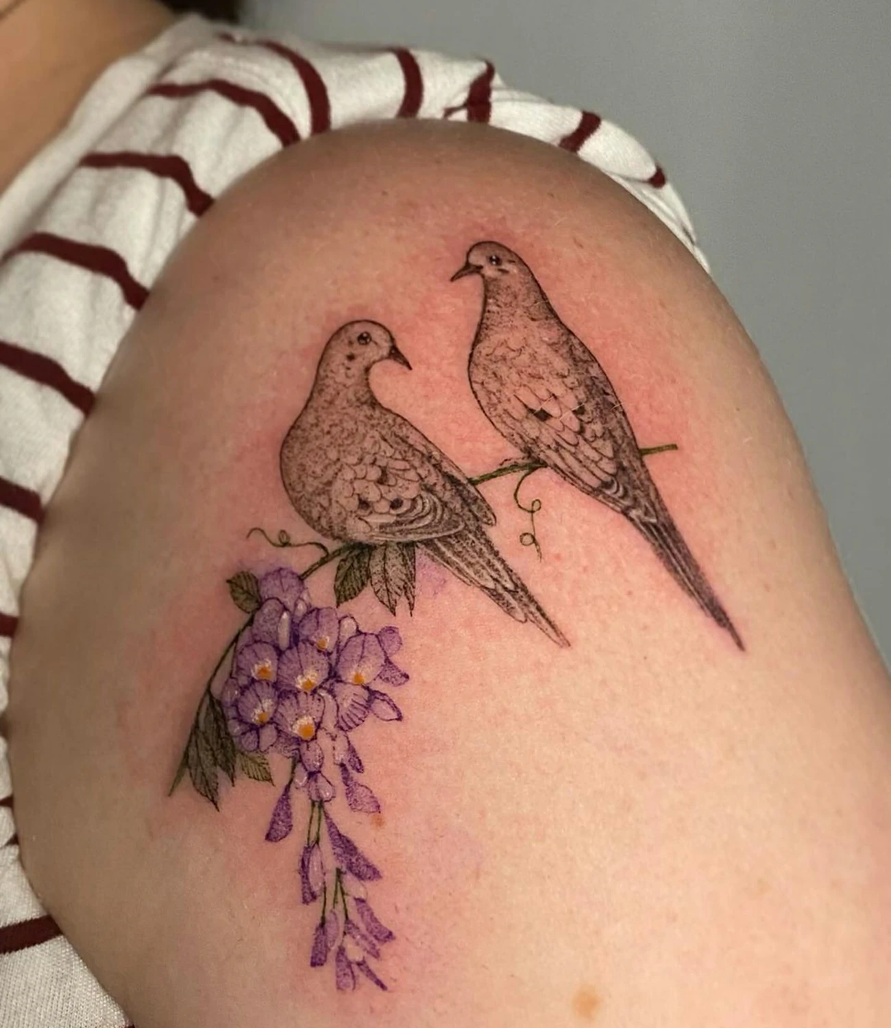 Mourning Dove Tattoo