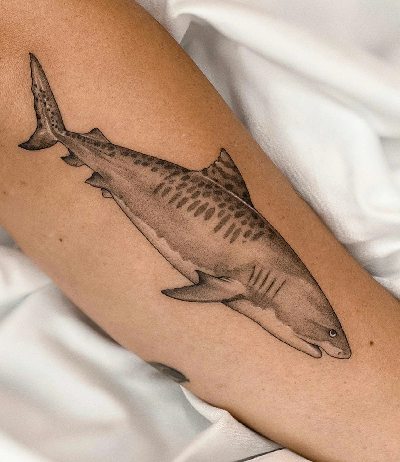 Tiger Shark Tattoo