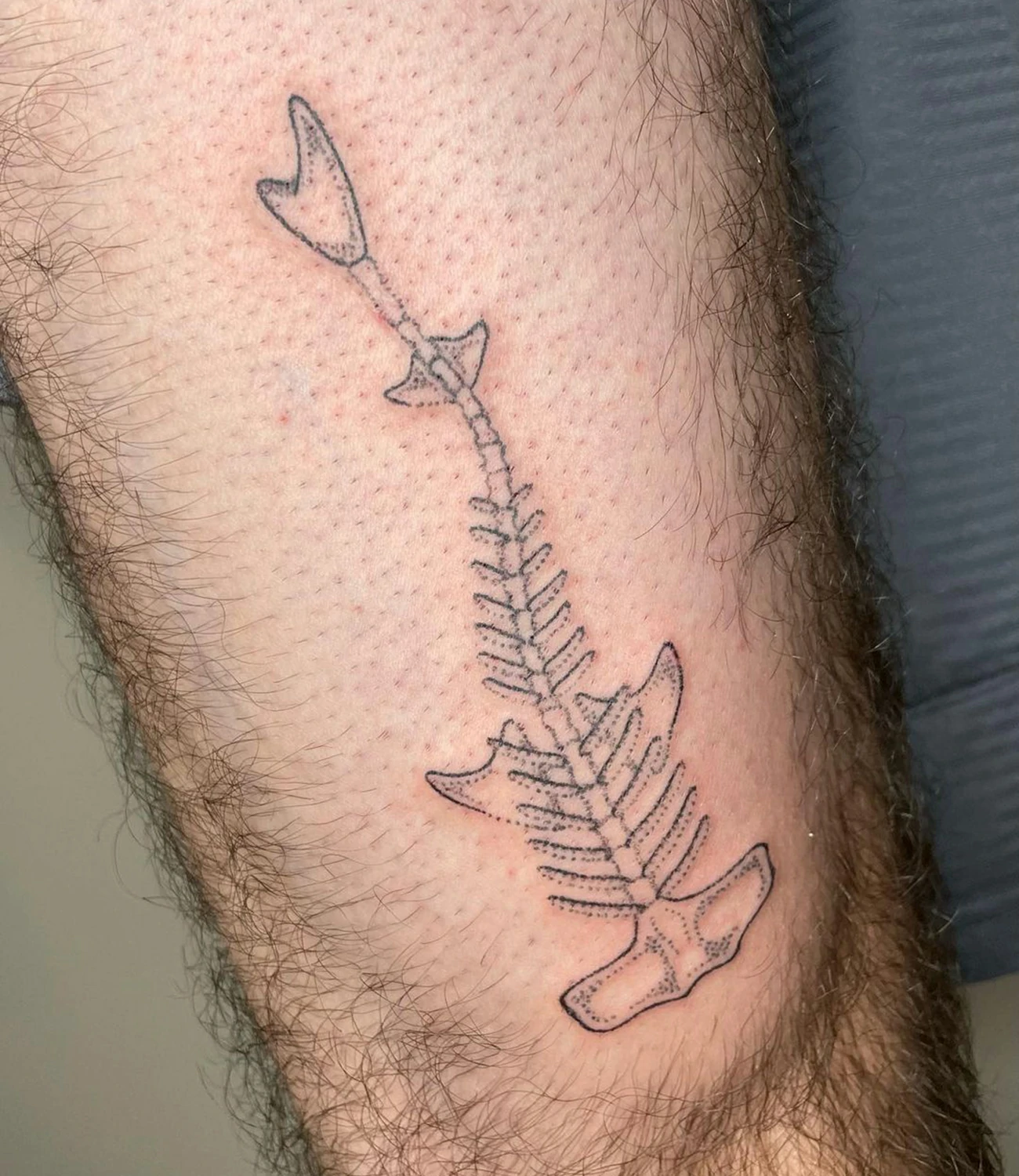Shark Skeleton Tattoo