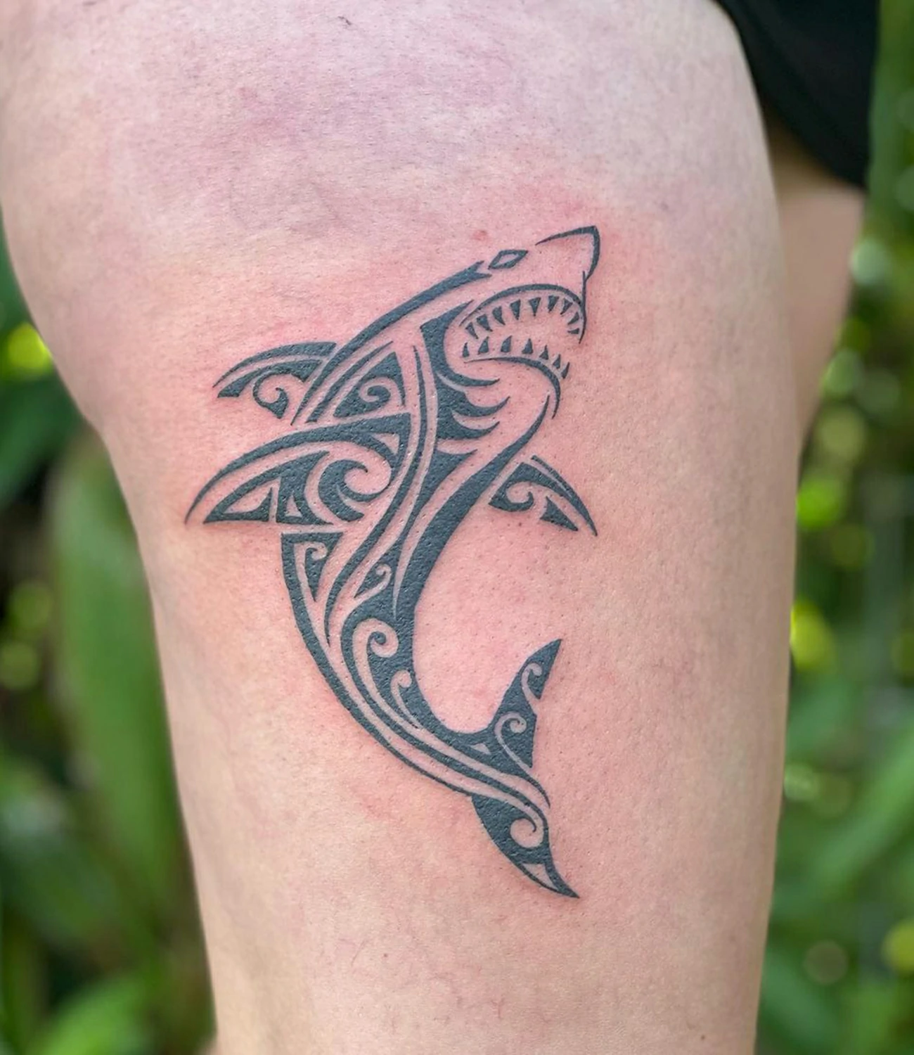 Hawaiian Shark Tattoo