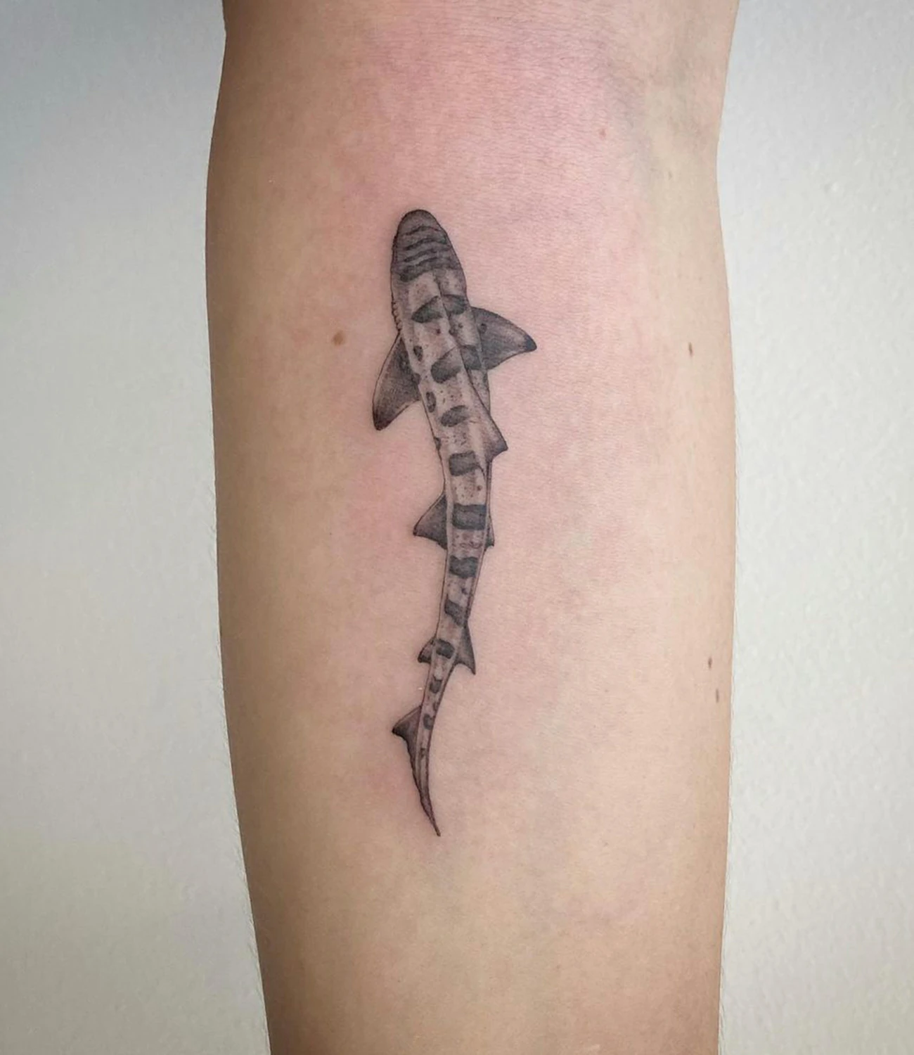 Leopard Shark Tattoo