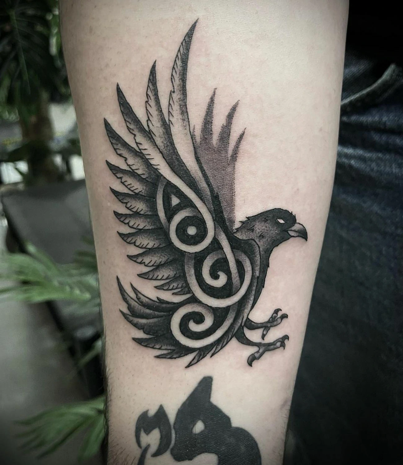 Celtic Crow Tattoo